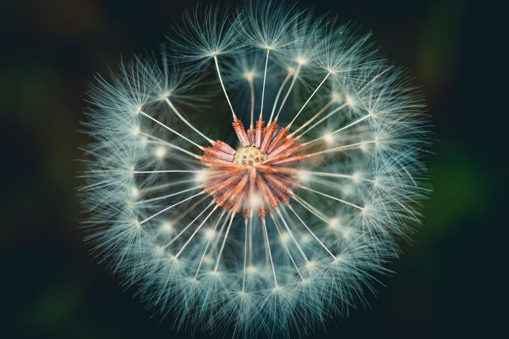 Lightspeed’s Integration with Shopify: A Seamless Solution for Point of Sale, Online Orders, and Inventory&nbsp;Management